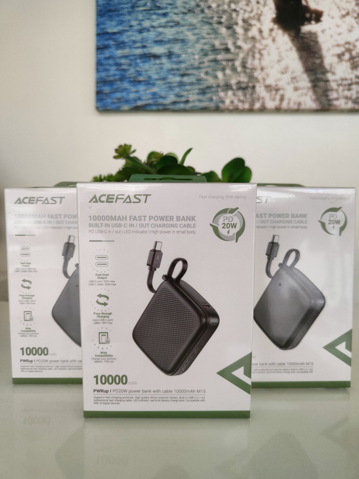 Acefast M15 10000 PD 20W Powerbank with Built-in Cable Black